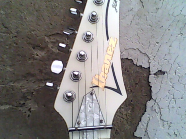 IMG0201A.jpg