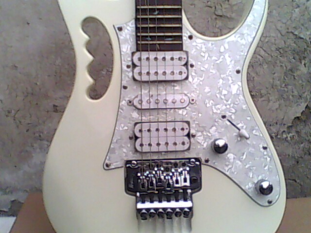 IMG0203A.jpg