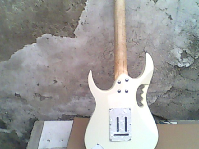 IMG0206A.jpg