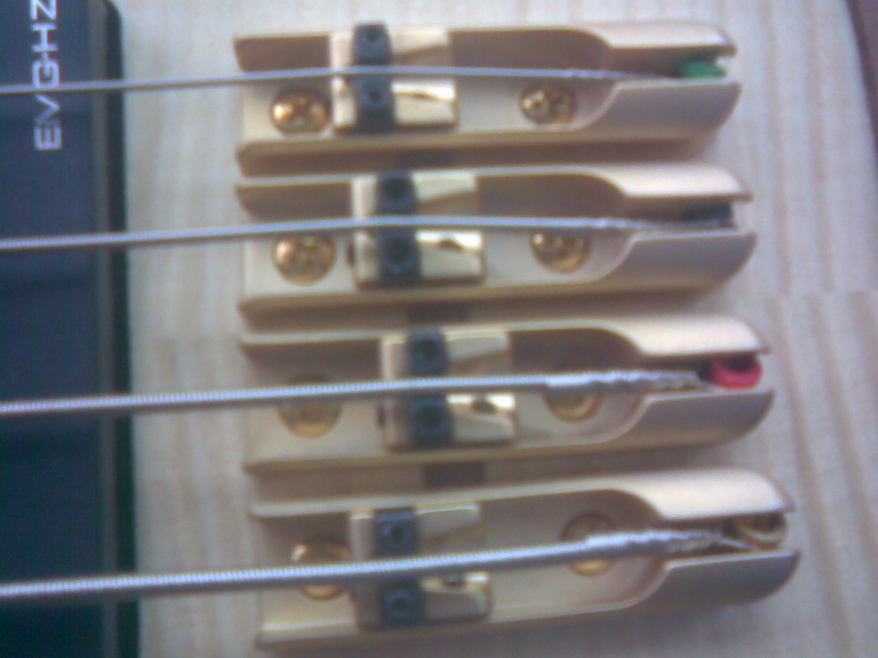 20100417(005).jpg