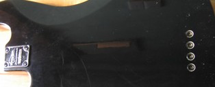 6566.jpg