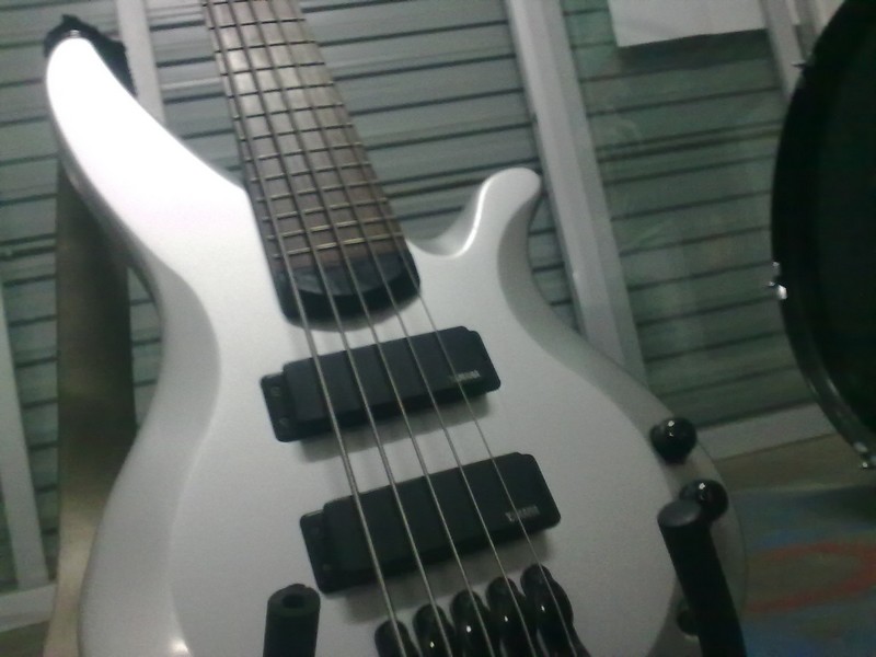 20100423309.jpg