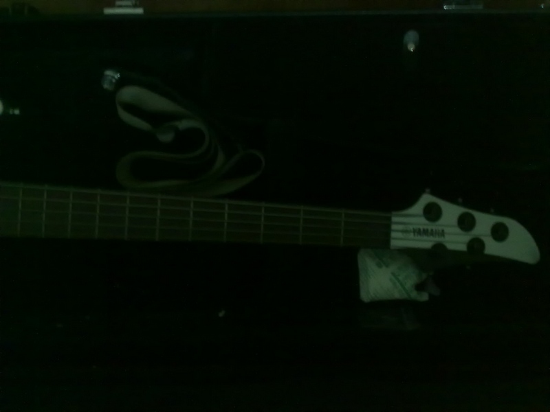 20100423331.jpg