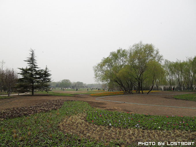 SDC14772.jpg