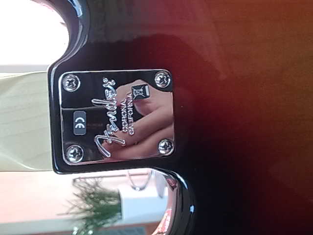 20100325445.jpg