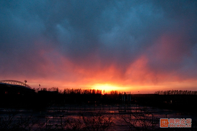 DSC_3486.jpg