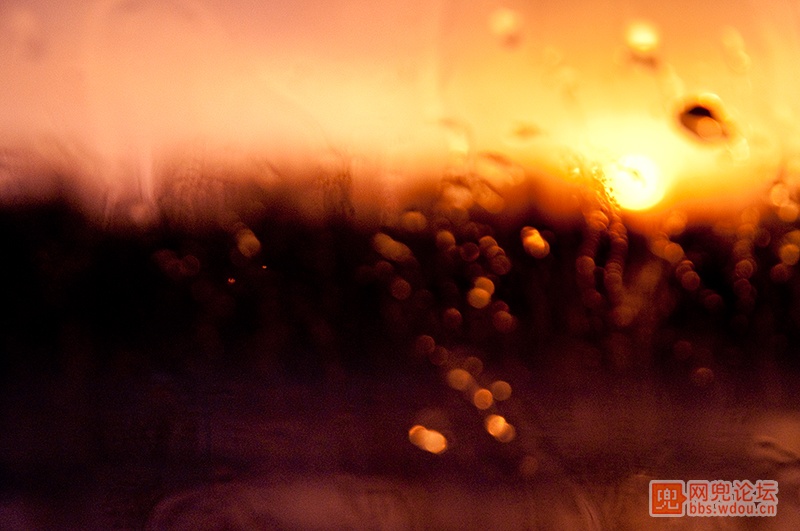 DSC_3474.jpg