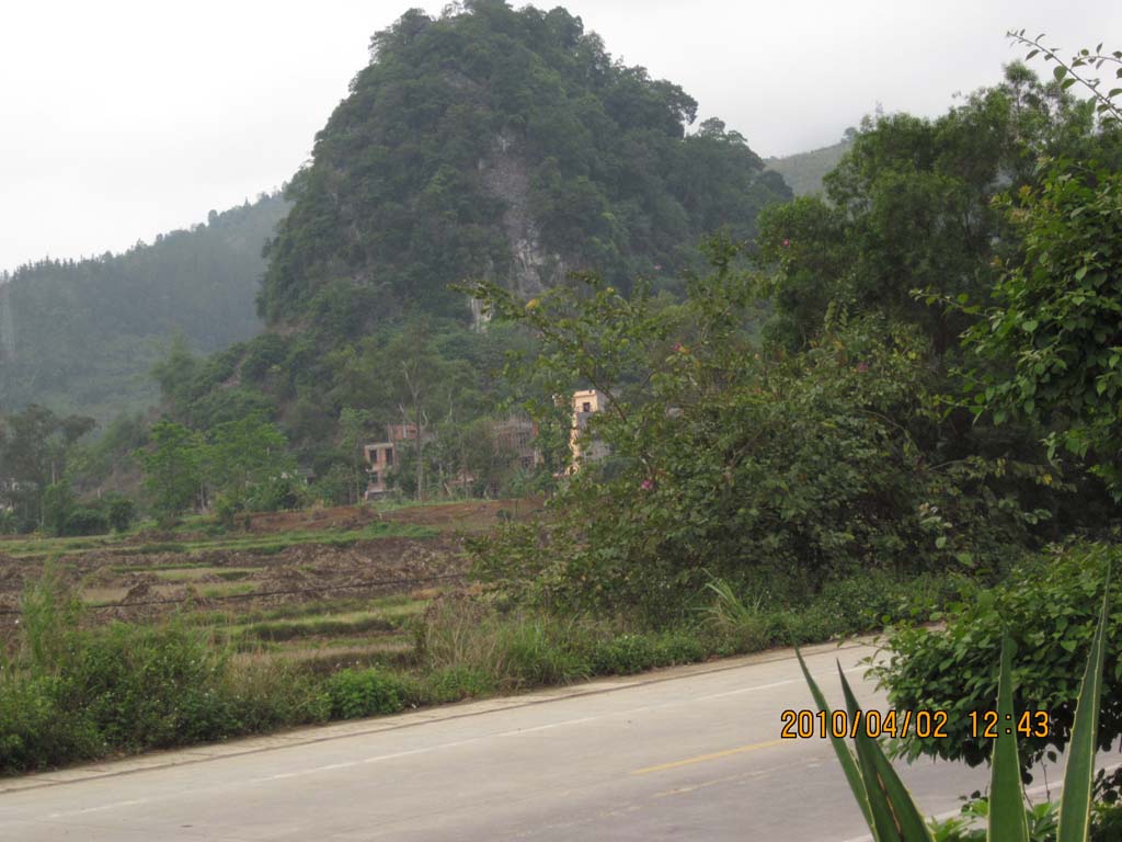 休息站对面的小山，还有几栋房子