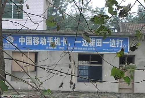 478250_15.jpg