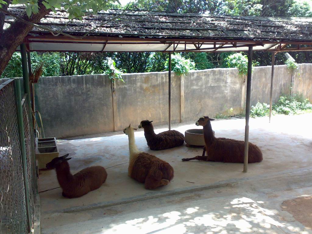 03052010028.jpg