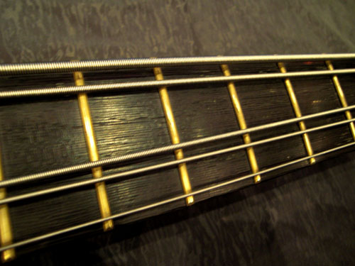 CIMG6902.JPG