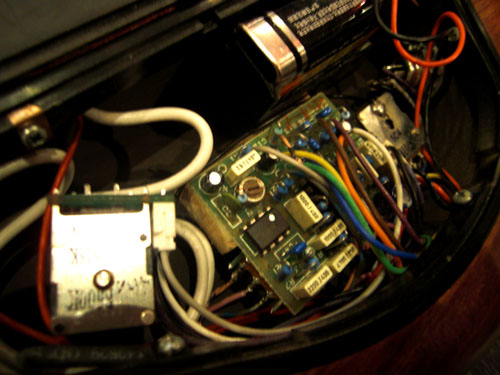CIMG6910.JPG