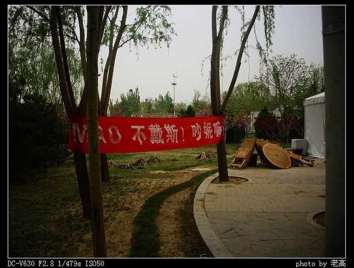 DSCI6136.jpg