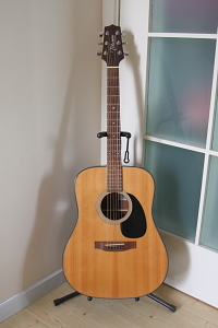 takamine7.JPG