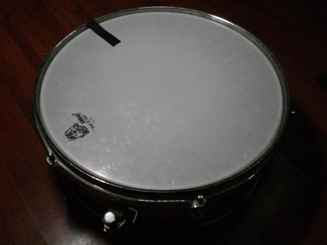 P5060290.JPG