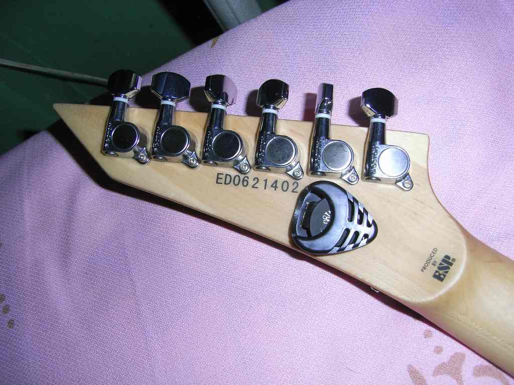 nEO_IMG_RIMG0081.jpg