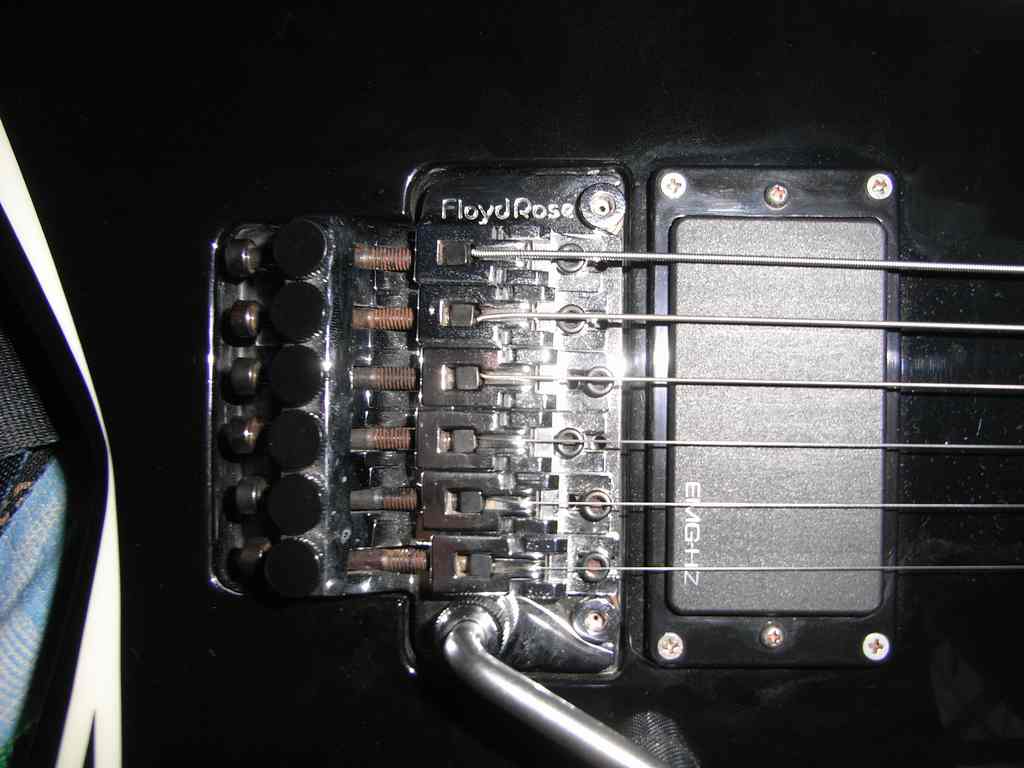 nEO_IMG_RIMG0079.jpg