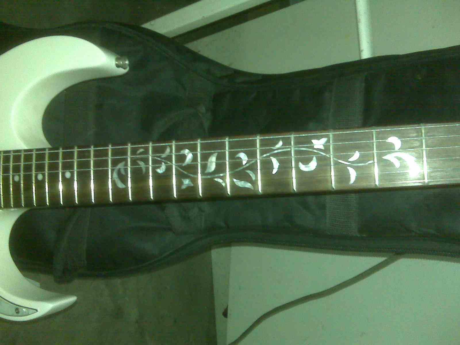 IMG00164.jpg