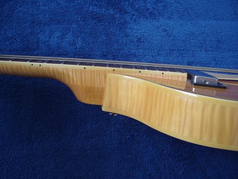 S1050854.JPG