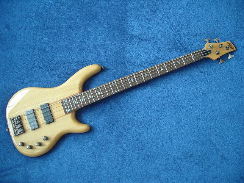 S1050832.JPG