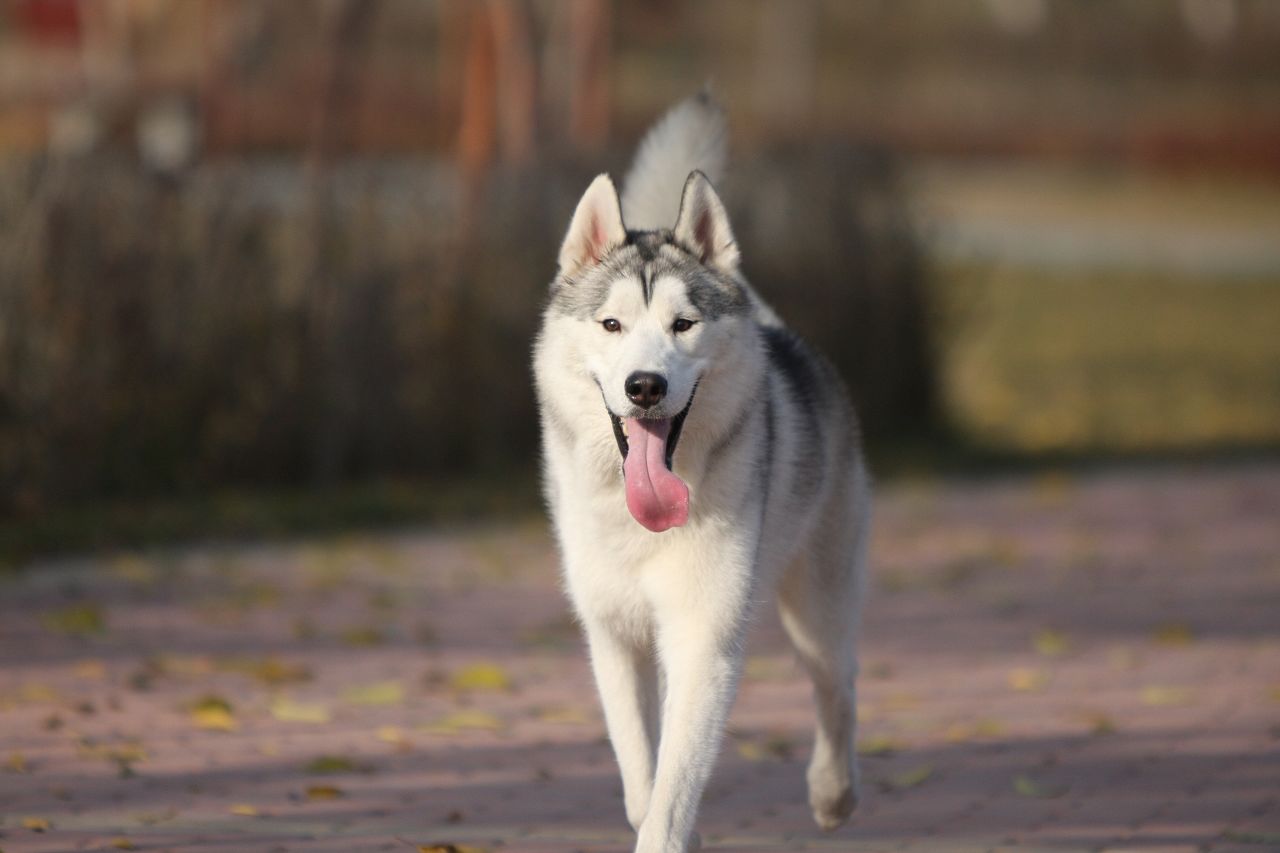 IMG_8805_光影_1.jpg