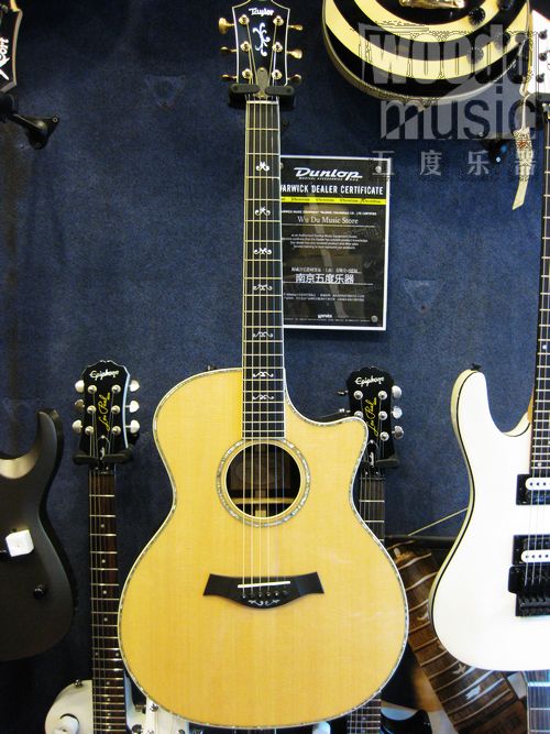TAYLOR 914 1.JPG