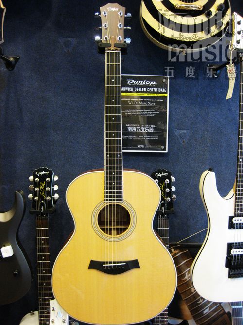 TAYLOR GA3 1.JPG