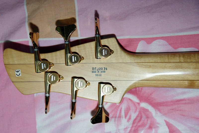 y07.jpg