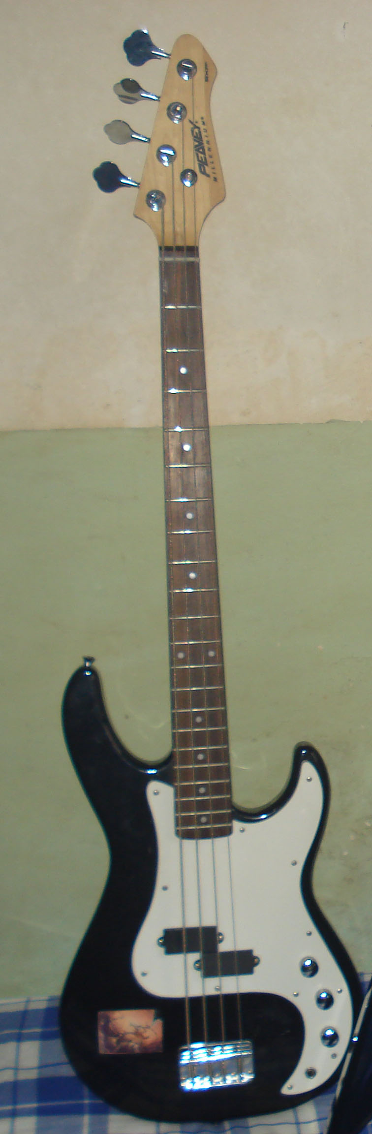 DSC029745.jpg