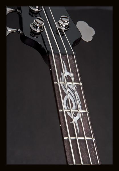 pgb1rtk_inlay2.jpg