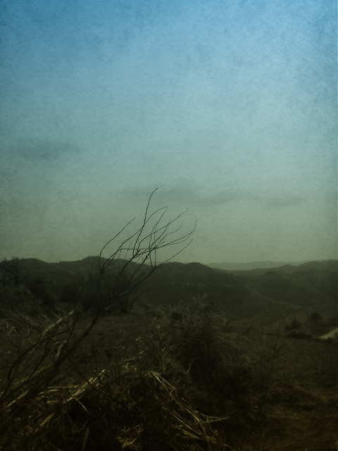 moto_0052_副本.jpg
