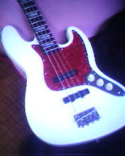 IMG2135A.jpg