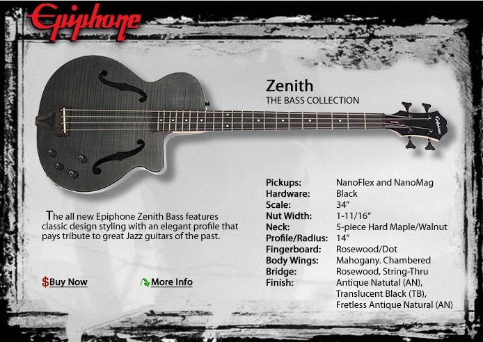 EPI ZENITH.jpg