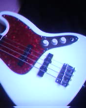 IMG2137A.jpg