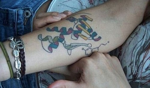 34883871.jpg
