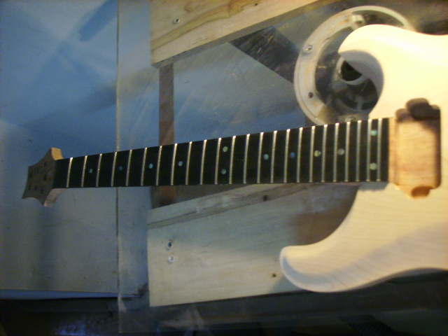 SSL28563.JPG