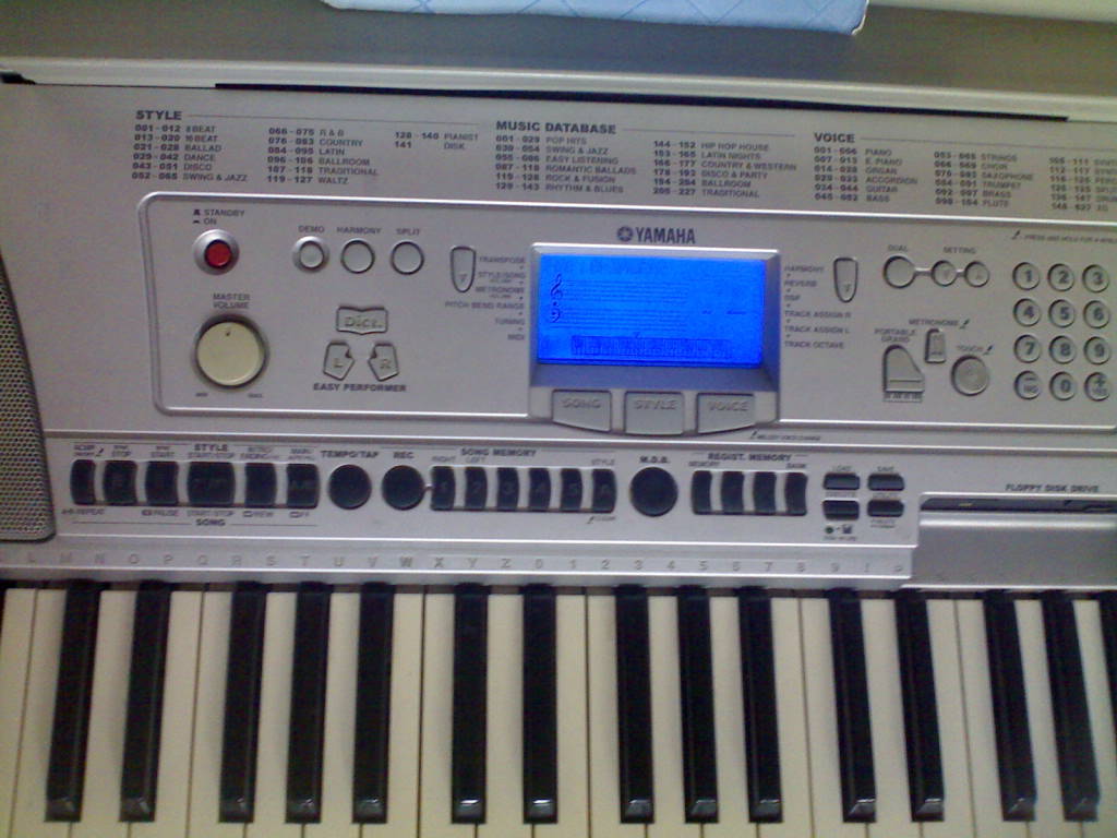 20100604032.jpg