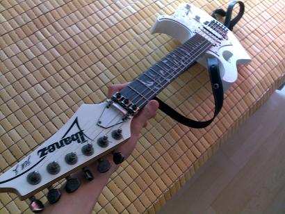 20100613214.jpg