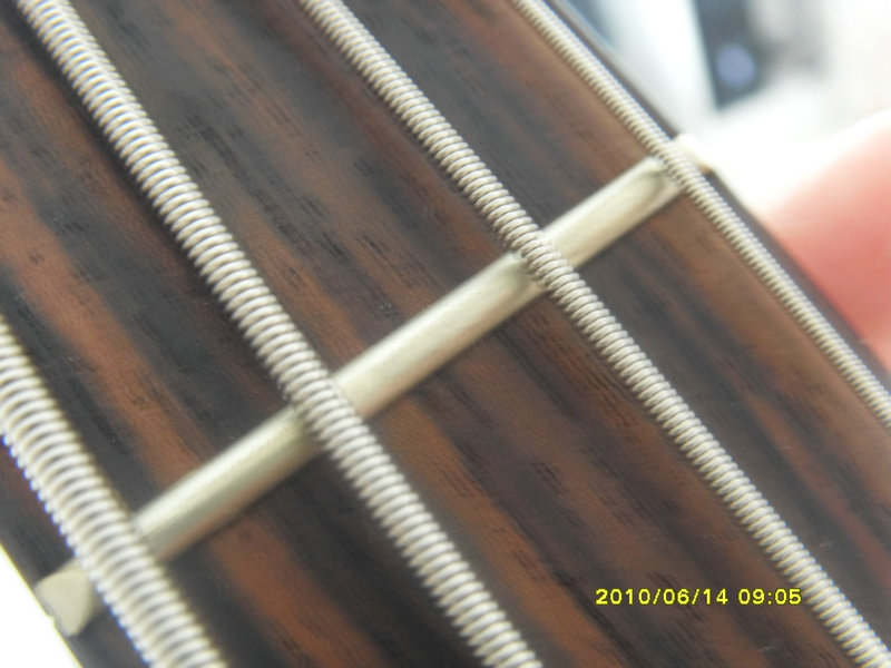 SDC13408.JPG