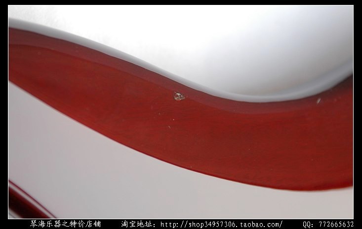 DSC_8445.JPG