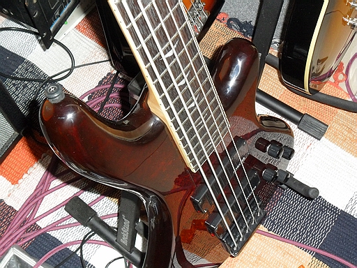 SAM_0137.JPG