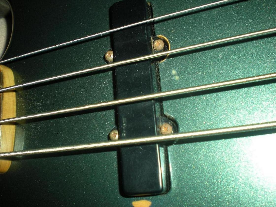 DSCN2886.JPG