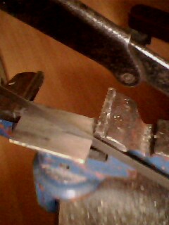 IMG0679A.jpg
