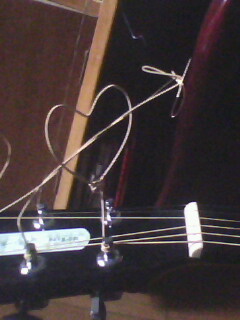 IMG0345A.jpg