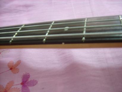 SSA53220.JPG