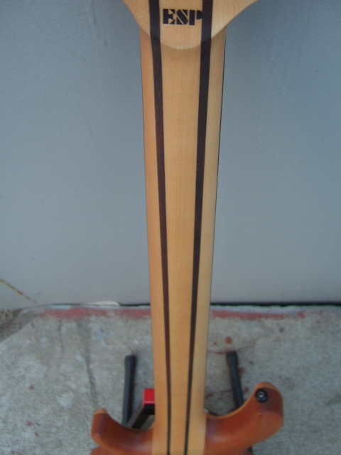 STA61061.JPG