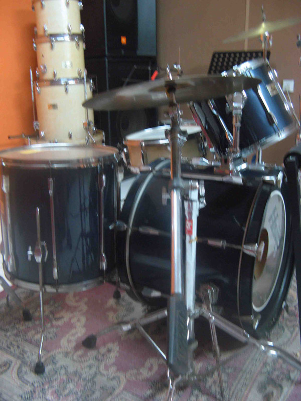 pearl expor.jpg