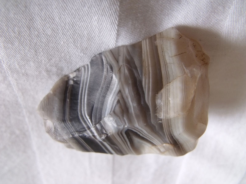 DSCF1617.jpg