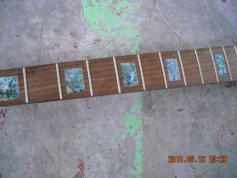 DSCN5515.JPG