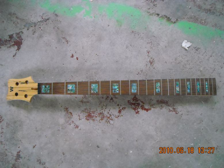 DSCN5510.JPG